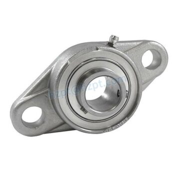 Stainless Steel 2-Bolt Flange Bearings