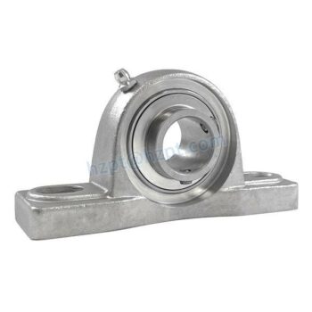 Stainless Steel 2-Bolt Pillow Block Bearings