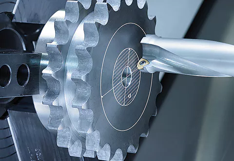 Stainless Steel Sprocket Applications
