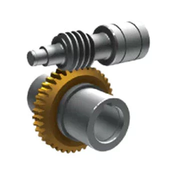 Worm Gear