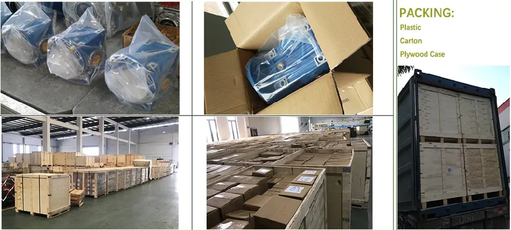 Worm Gearbox Packing and Transportation