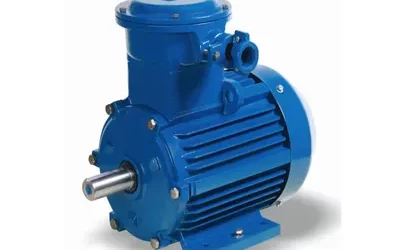Explosion Proof Motor