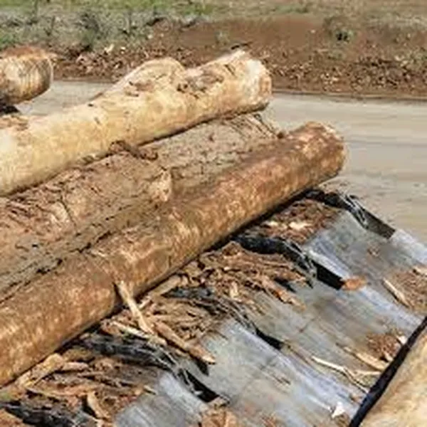 Welded Steel Mill Chain Applications