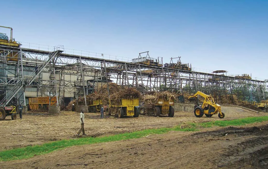Choose Our 900 Class Sugar Mill Chains