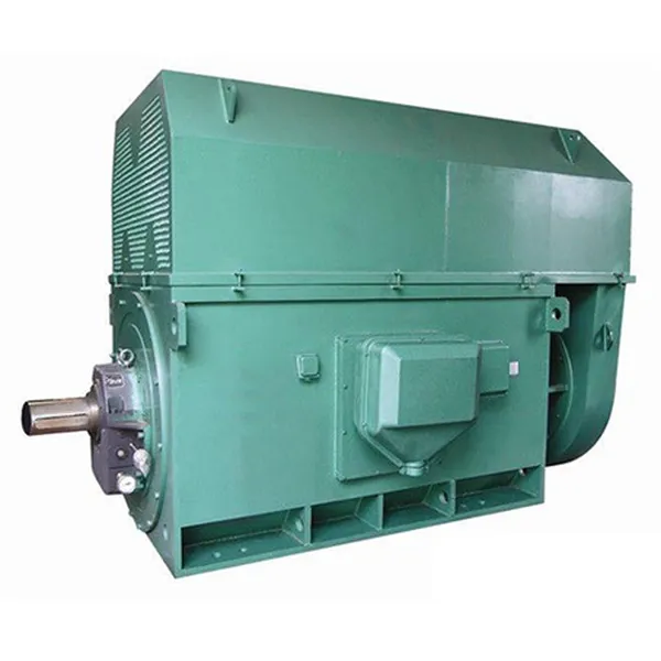 MHBcG50P Y Series High Voltage Three Phase Asynchronous Motor 6KV Y Series High Voltage Three-Phase Asynchronous Motor (6KV)