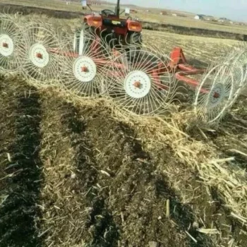 Raking Hay with a Wheel Rake