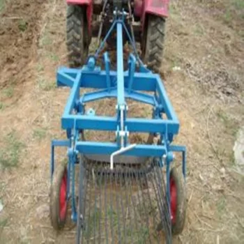Potato Peeling Machine: Your Ultimate Guide to High Productivity Harvesting