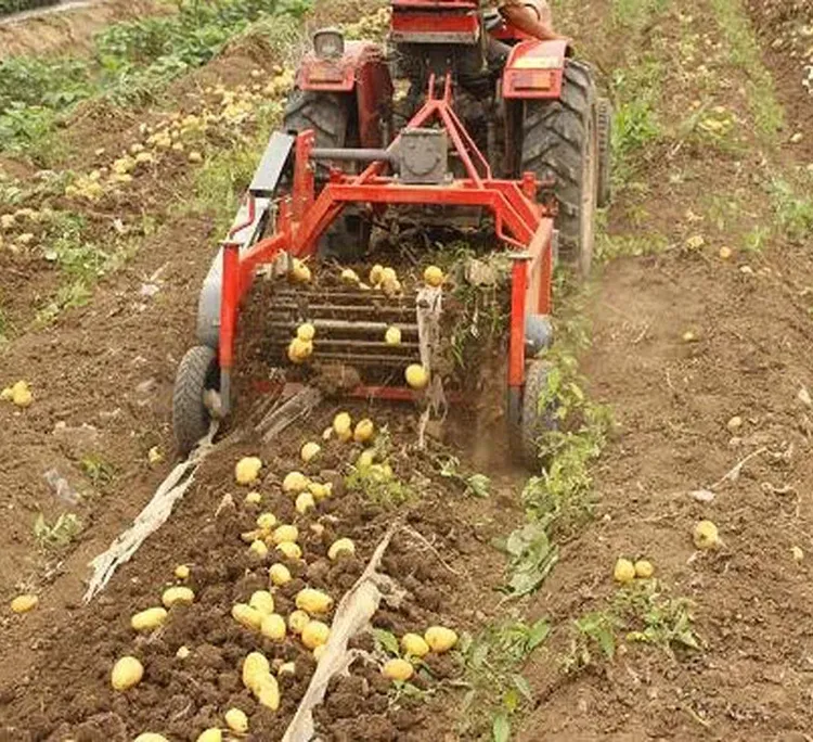 Using Agricultural Potato Harvester Advantages