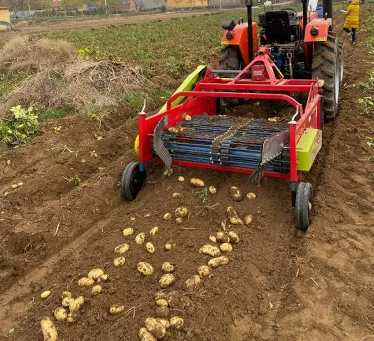 Using Agricultural Potato Harvester Advantages