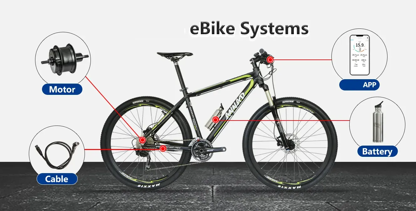 Electric Bike Systems Advantages