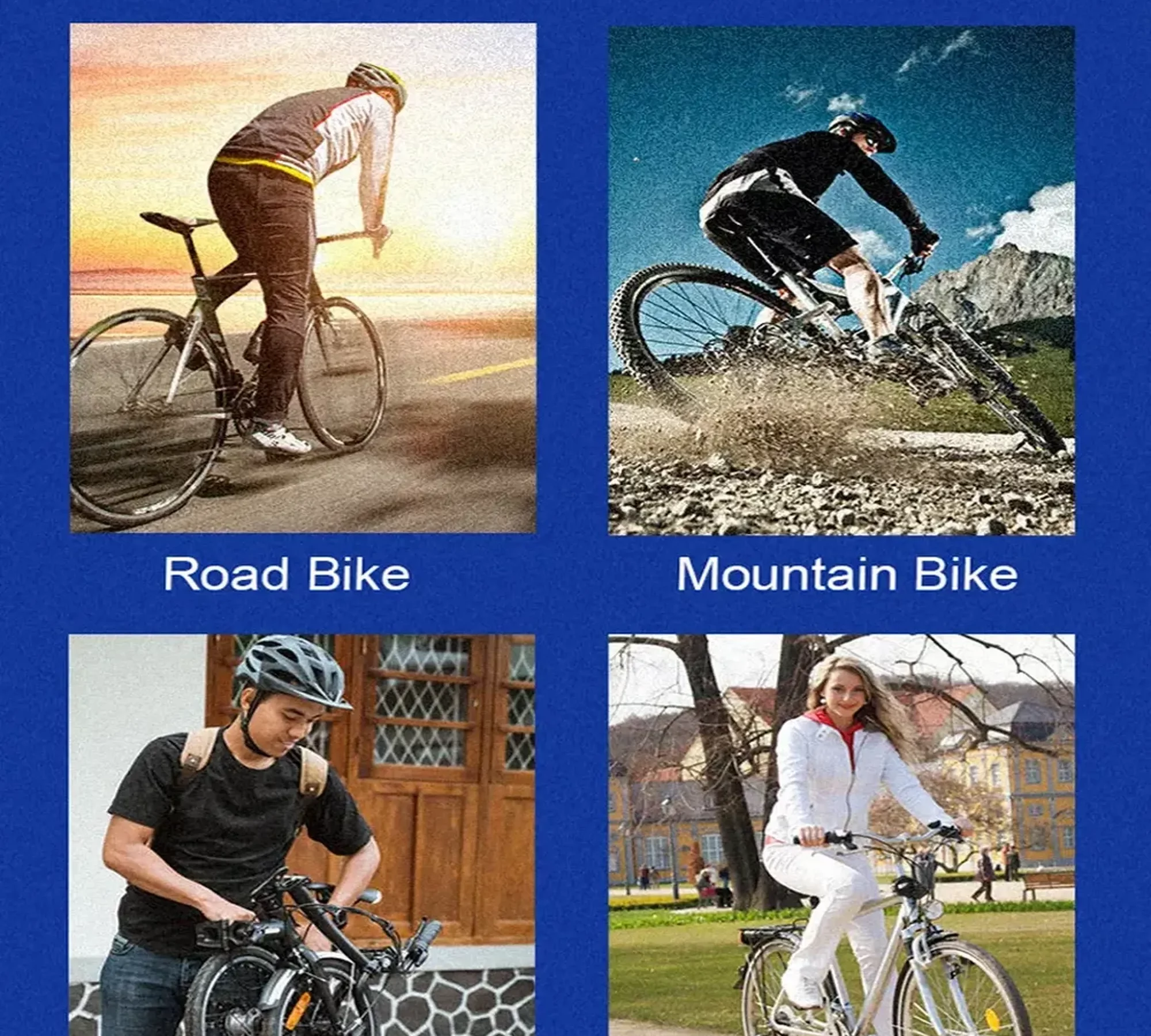 Electric Bike Systems Applications