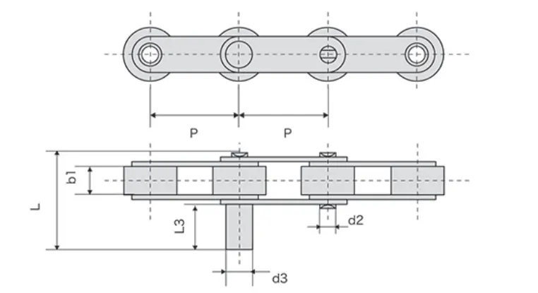 SS Double Pitch Conveyor Chain