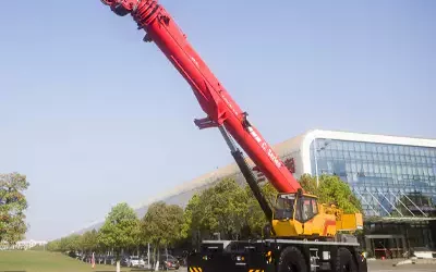 cranes 