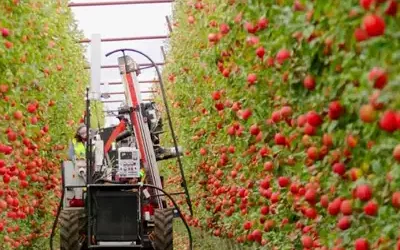 wheel drive Apple harvester machine 