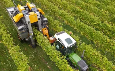wheel drive Grape Harvester 