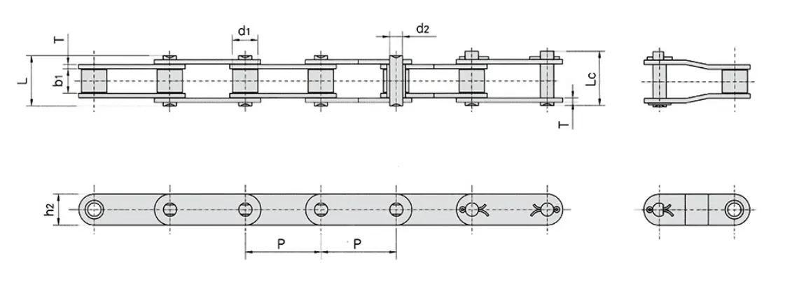 CA Type Agricultural Chain Specification
