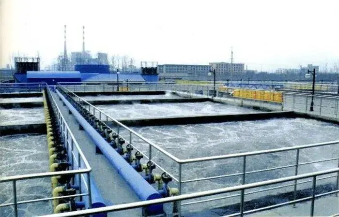Stainless Steel Environment Wastewater Chain for Sewage Treatment