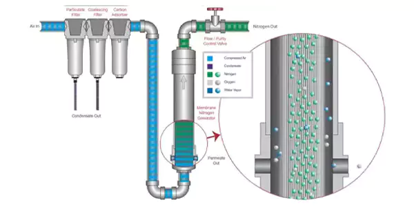 Membrane nitrogen generator