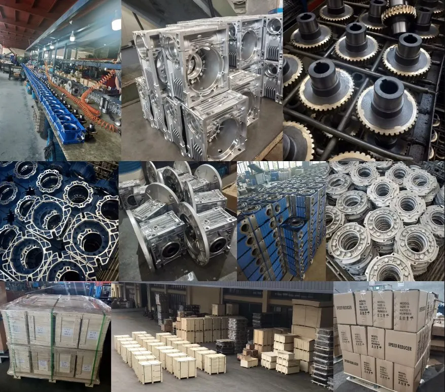 Worm Reducer Factory