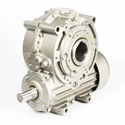 Worm Gear Reducer