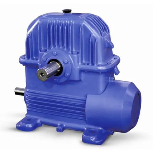 Worm Gear Reducer