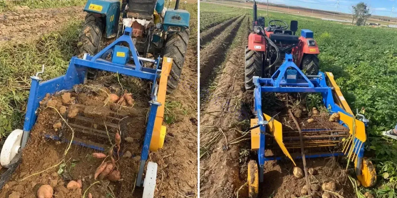 Potato Harvester