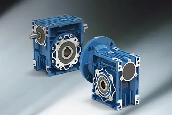 Double Worm Reduction Gearbox