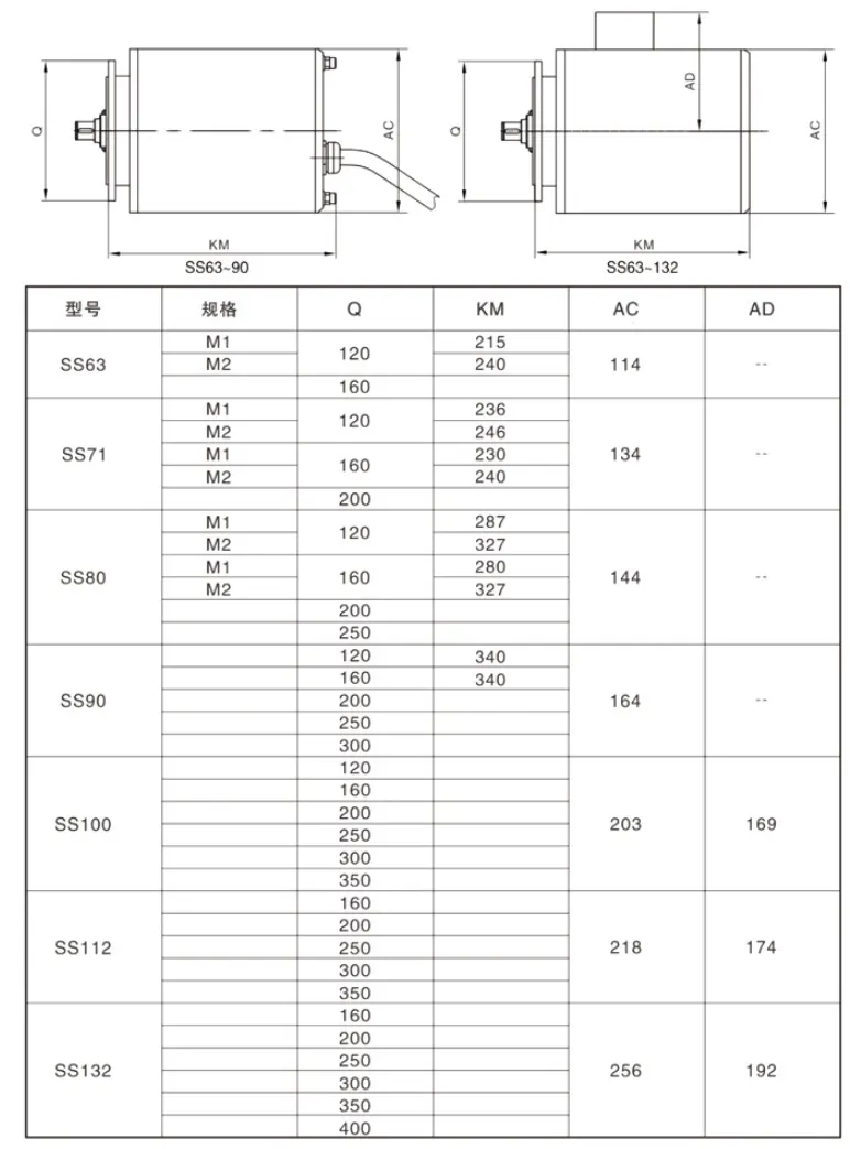 Stainless Steel Motors