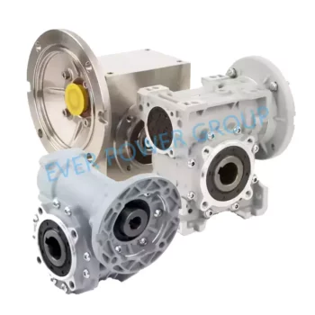 Stainless Steel Worm Gear Reducer